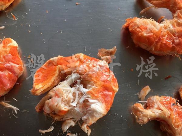 食品凍干機(jī)