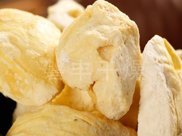 榴蓮凍干機(jī)