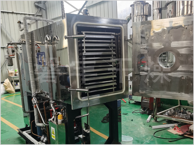 榴蓮凍干機(jī)