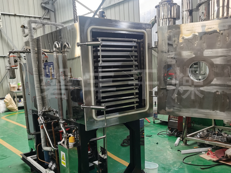 石斛凍干機(jī)