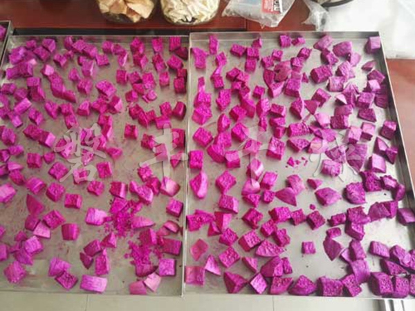 火龍果丁凍干